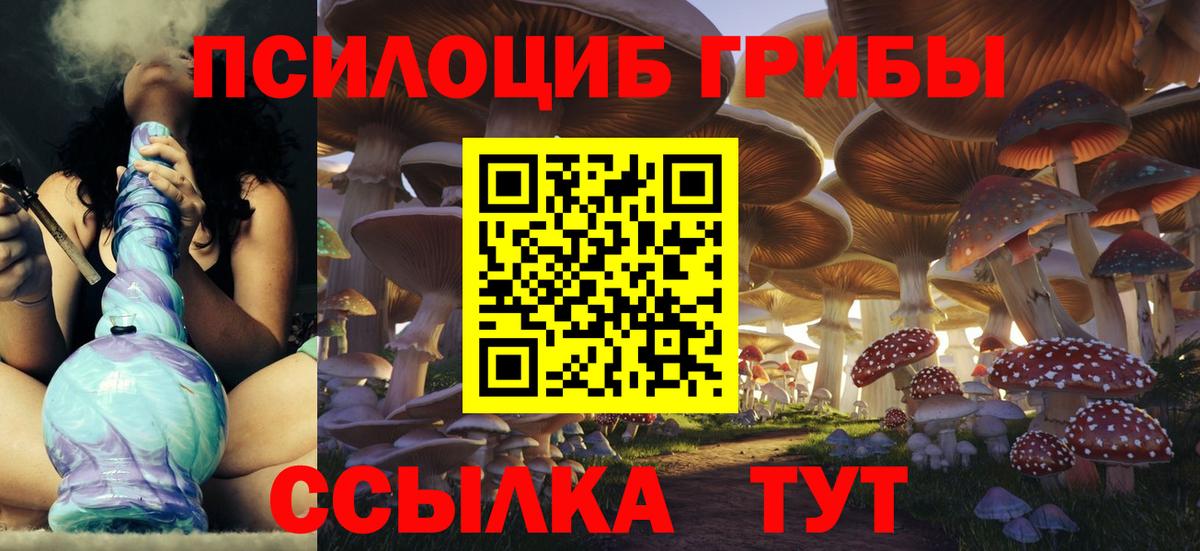 Галлюциногенные грибы Psilocybine cubensis Кандалакша