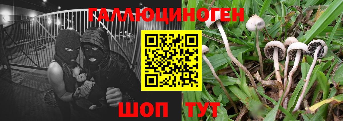 Кандалакша  Псилоцибиновые грибы GOLDEN TEACHER  Вход с VPN 